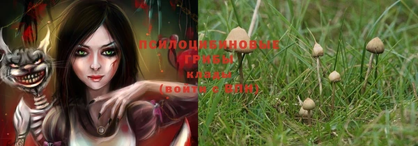 ALPHA PVP Козельск