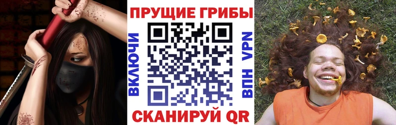 Купить закладки  Ливны  Псилоцибиновые грибы ЛСД 